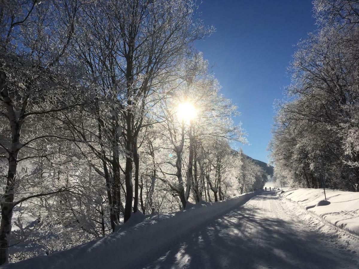 6 Dorfstrasse Daire Oberwald Dış mekan fotoğraf